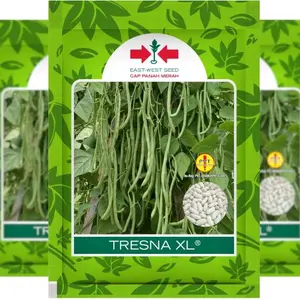 Benih Buncis TRESNA XL Original Cap Panah Merah Isi 500 Gram