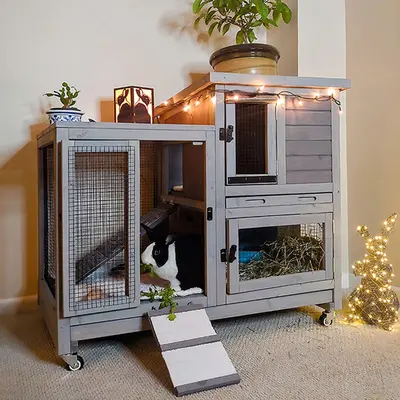 Bunny cage setup best sale