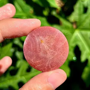 Batu akik pink lipan chabocon