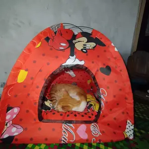 tenda kucing BONUS KASUR ukuran 45x45
