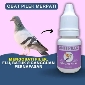 Obat Pilek Merpati Terkena Flu Batuk Gangguan Pernafasan Dan Infeksi Tenggorokan