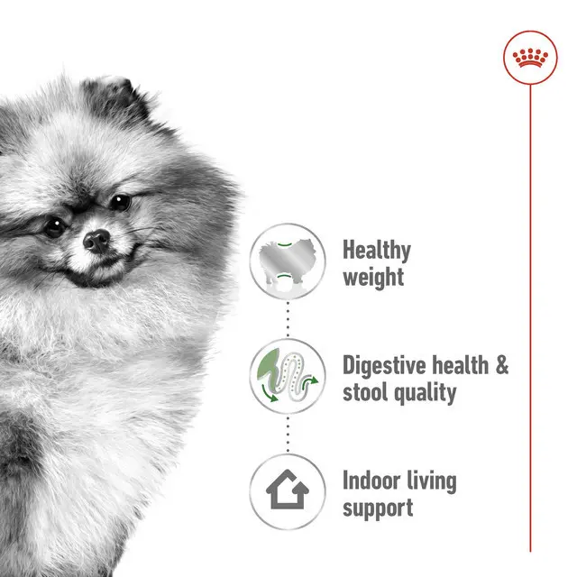 Royal Canin Mini Indoor Adult (1.5kg) Dry Makanan Anjing Dewasa - Size Health Nutrition 2