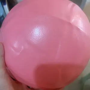 Pilates Yoga Mini Ball 25cm Bola Fitness Gym Senam Exercise GTGO