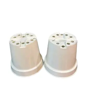 pot putih 10cm jenis tanaman hias kaktus secculent 3kg