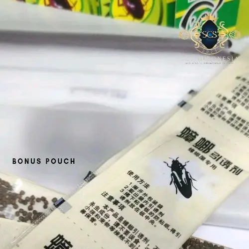 Perangkap Lem Kecoa / Jebakan Obat Pembasmi Kecoa & Cicak 10 Pcs - SCS.ID 2