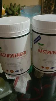 Product Review of [PAYDAY PROMO] GOLAC GASTROVENGER 2 BALANG from Y**y 0