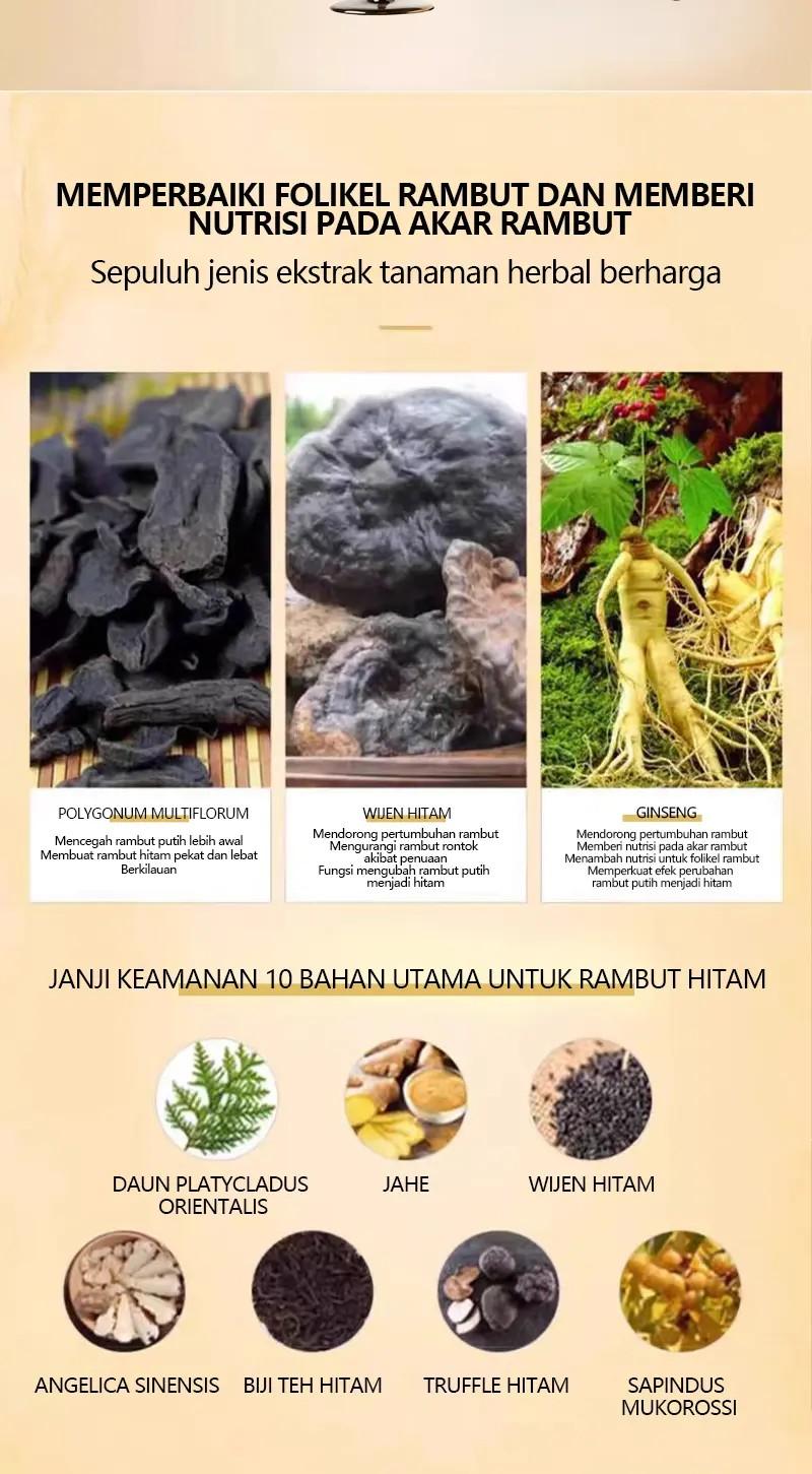 Sampo Anti-Rambut Rontok Ginseng dan Polygonum Multiflorum