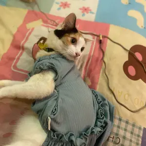 POMAPOO - Baju Kucing dan Baju Anjing Tokyo Dress