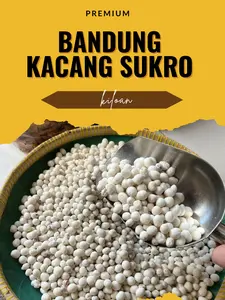 500 gr Kacang Sukro Putih Kiloan Best Seller Bahan Premium Kering  Toples Wijen