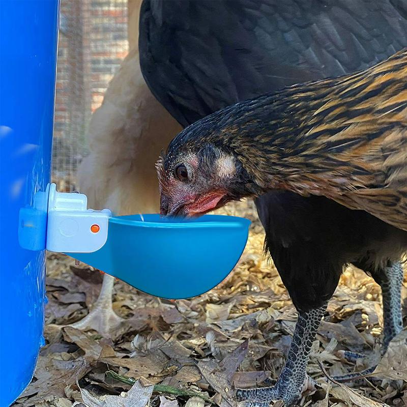Product Introduction of Automatic Water Cups Poultry Drinker Waterer Chicken Duck Quail Drinking 9