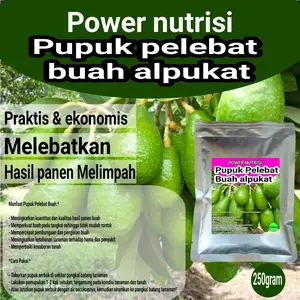 pupuk buah alpukat isi 250gram pupuk avocado Tanaman