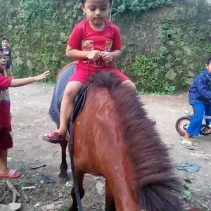 Tali Kaki Burung Angklet Kutilang Dan Trucuk Warna Hitam / biru tua Nilon Free Kokot Udang