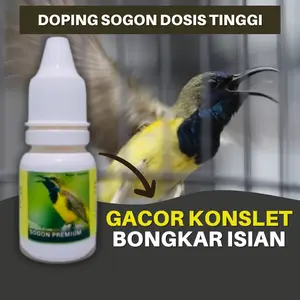 Doping Burung Sogon Booster Dosis Tinggi Biar Gacor Konslet Untuk Lomba Dan Harian