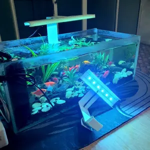 Lampu LED Aquarium Mini 5Volt model jepit soliter,pencahayaan optimal,banyak pilihan warna ukuran jumlah mata ,lampu murah,aquarium,aquascape.