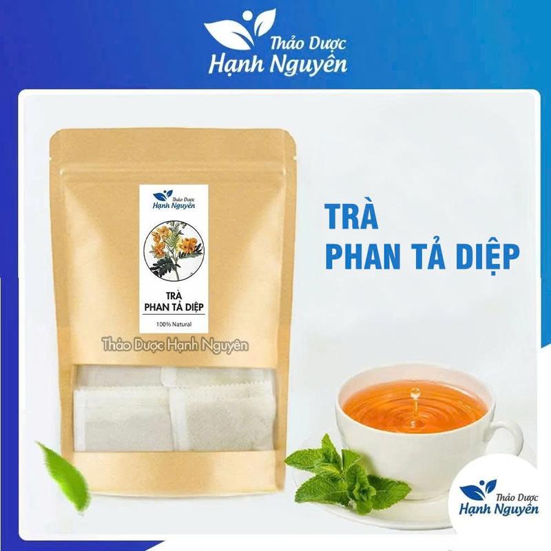  Trà lá phan tả diệp - Thảo dược Hạnh Nguyên  Bịch 30 - 50 túi lọc  