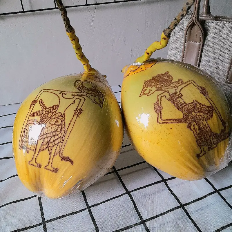 kelapa gading lukis 7 bulanan / kelapa 7 bulanan adat jawa / tingkepan 0