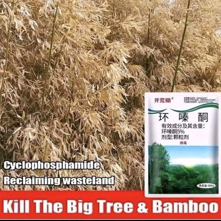 ( Beli 1 Gratis 1 ) KILL TREE Herbisida Biologis Pembasmi Rumput Terampuh - Herbisida Biologis Kill Tree Daun 2