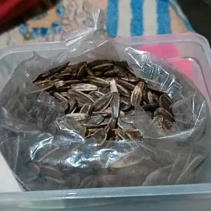 PROMO KUACI SUPER JUMBO 1KG KACANG JUMBO BERKUALITAS TINGGI UNTUK CEMILAN SEHAT DAN LEZAT GARING FOOD tao kae noi rumput makanan ringan kering