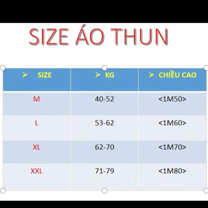 Áo thun nam phối hoạ tiết   (Mã 040) 5