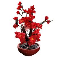 Gambar pohon sakura pohon Imlek bunga imlek gong xi bunga meihua tahun baru cina pohon meihua angpao - 30cm, pohon sakura 40cm dari Gaby Bella Florist Kota Administrasi Jakarta Selatan 5 Tokopedia