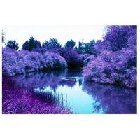Gambar Lomography Roll Film 120mm LomoChrome Purple 120 ISO 100–400 dari Instaxshop Kota Bandung 4 Tokopedia
