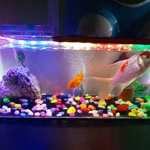 Rechargeable USB Fish Tank Oxygen Pump –  yang Senyap & Portabel untuk Akuarium Pompa Oksigen Portabel untuk Tangki Ikan & Memancing Quiet & Portable  for Aquarium Portable Oxygen Pump for Fish Tanks & Fishing mini