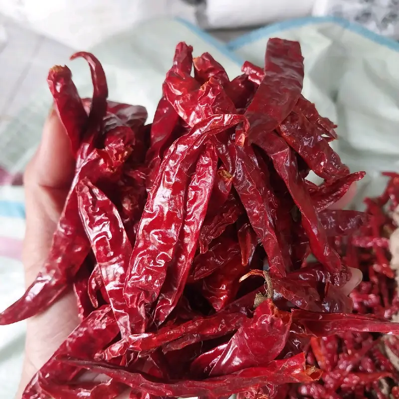 [2kg] Cabe Rawit Merah Kering MEDIUM Teja Japlak impor Super Pedas Food Goreng 1