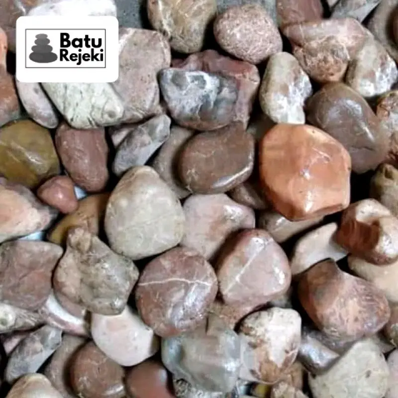 Batu koral merah maroon Kupang 1 kg