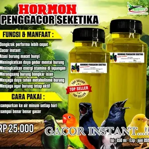 Hormone Penggacor Seketika Minuman Vitamin Suplemen Burung Kicau