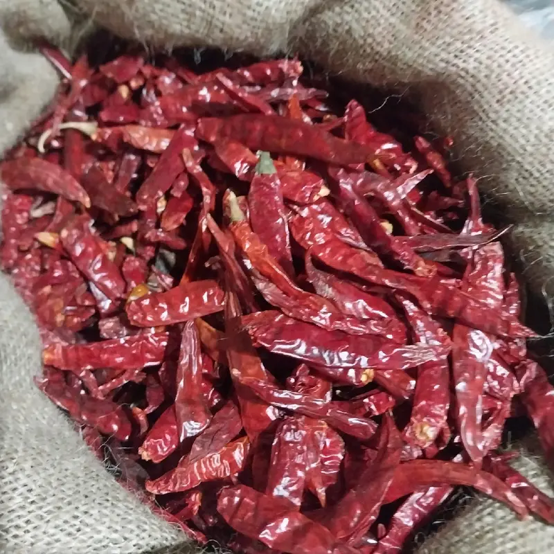 [2kg] Cabe Rawit Merah Kering MEDIUM Teja Japlak impor Super Pedas Food Goreng 5