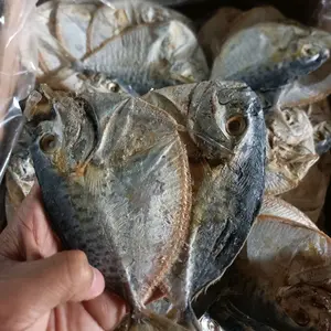 ikan asin semar/asin gepeng