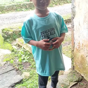 Kaos Anak Unisex Laki-Laki Dan Perempuan Ideal 2-12 Tahun Motif Tralalero Tralala Fashion Baju