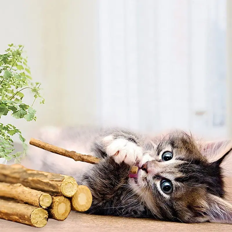 Catnip Stick Snack Kucing Kayu Matatabi Camilan Mainan Gigit Cat Nip Toys 3
