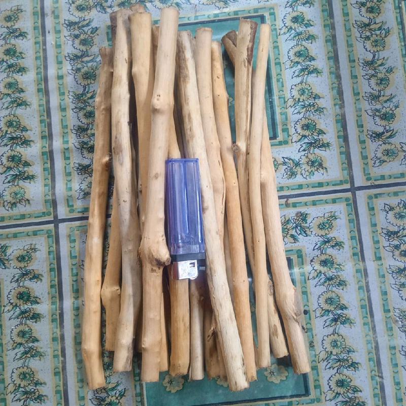 20 batang senggani olahan bebas tanin panjang 25cm diametr 0,5-1 cm 1