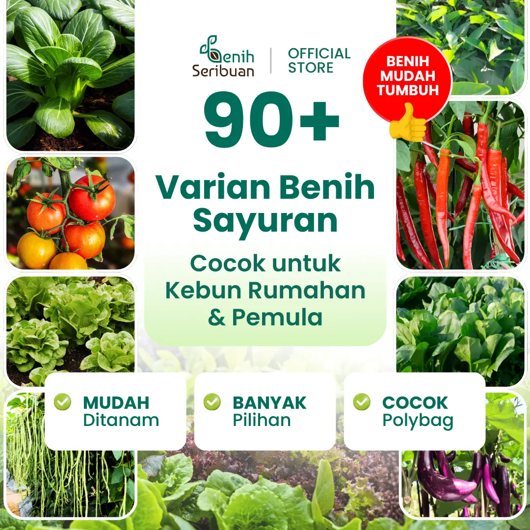 Benih Sayuran Daun All Varian Benih Sayur Unggul Seribuan