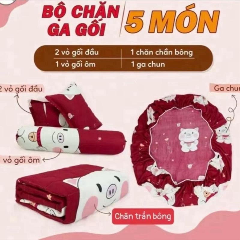Sét 5 món ( chăn phao sẵn ruột + ga bọc nệm + 2 vỏ gối nằm + 1 vỏ gối ôm ) 3