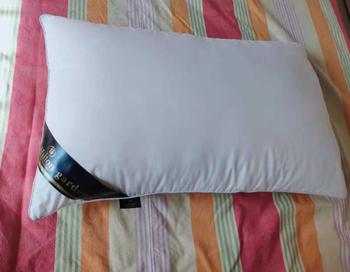 Product Review of [SG READY STOCK] 5 Star Hotel Pillow / Hilton Hotel Pillow / Fluffy Pillow / Pillowcase/ Shipping from Singapore from d**f 2
