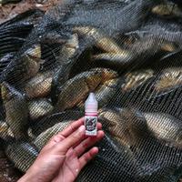 Gambar Billwaz Fishing Essen Ikan Mas Sprint Walang Melon Sereh Spesial Lomba Durasi Singkat Umpan Pemancingan Full Oil - 10ml dari Billwaz_NEW Kab. Bandung 5 Tokopedia