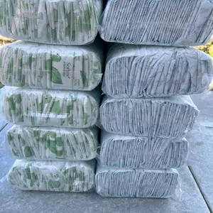 Pantyliner Daun Sirih dan Cool Isi 100pcs Termurah Berkualitas untuk Keseharian Anda