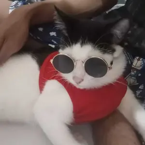 Kacamata Kucing/Kacamata Pelindung Sinar UV untuk Anjing / Kucing