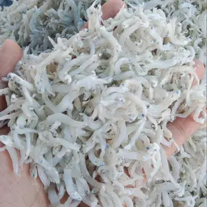 Ikan Teri Khas Medan Kering - Makanan Goreng - Food Laut