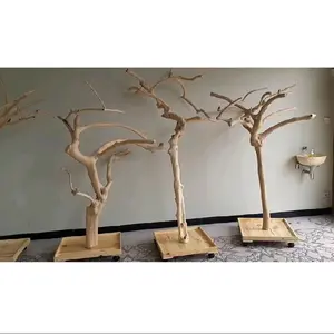 Tangkringan burung tinggi 70 cm dari bahan kayu kopi sudah dengan tatakannya/ redy stok siap kirim (cod)