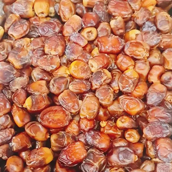 KURMA YULLA MESIR ALJOOD 5KG oleh oleh haji dan umrah 3