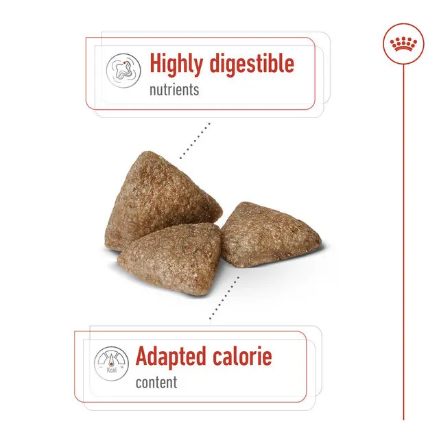 Royal Canin Mini Indoor Adult (1.5kg) Dry Makanan Anjing Dewasa - Size Health Nutrition 3