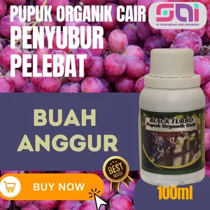 Pupuk Anggur Cepat Berbuah Pupuk Anggur Komplit Pupuk Anggur Agar Subur Black Turbo
