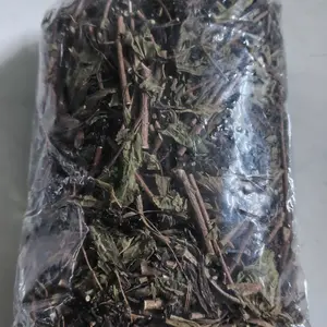 Daun Kumis Kucing Kering Organik 50 - 100 gram