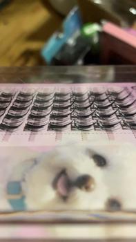 Product Review of [ DEAL SỐC 9K/1HỘP ] Mi Giả ÒKay Beauty Hoa Hướng Dương from T**h ă** J**e 2