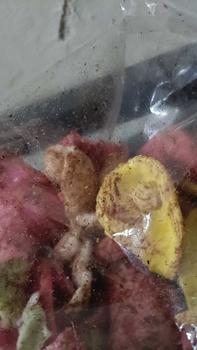 Product Review of Kerupuk pasir glopot khas tegal 100 gr from U**ᵉ .** 0