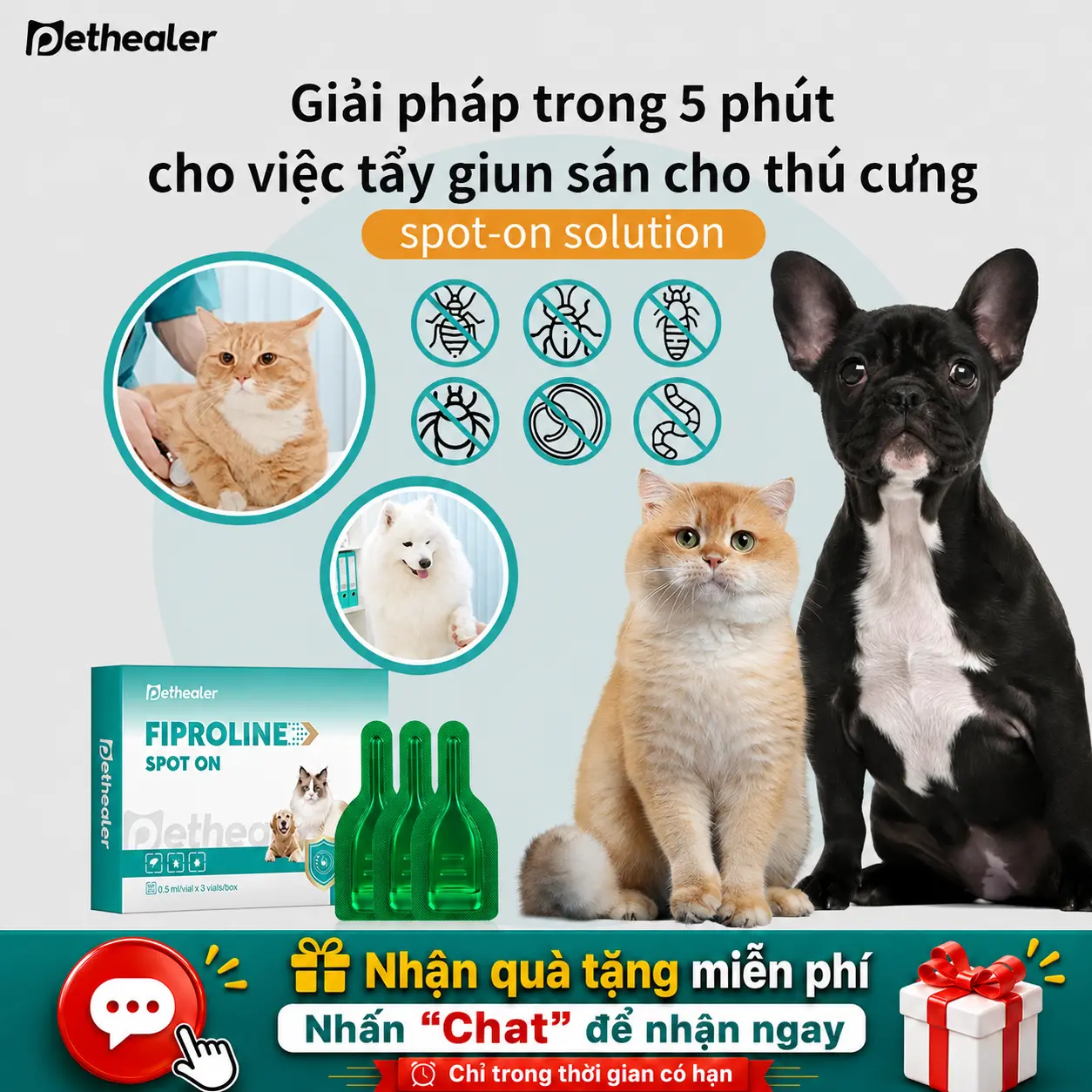 Thuốc Nhỏ Gáy Pethealer – Diệt Ve, Rận, Bọ Chét Cho Chó Mèo