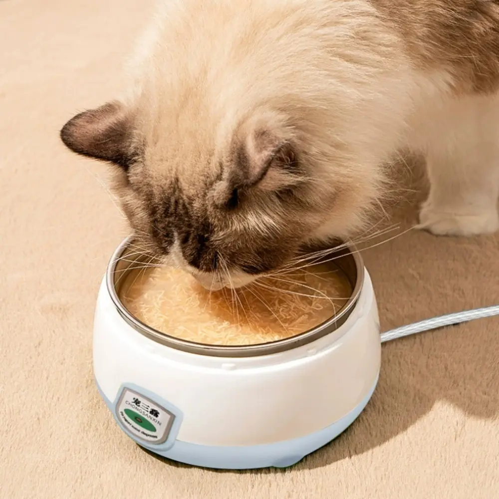 A stainless steel cat bowl with temperature maintenance features can hold both cat food and water. Thanks to its large-capacity design and detachable structure, it is suitable for use in homes, offices, and other settings.